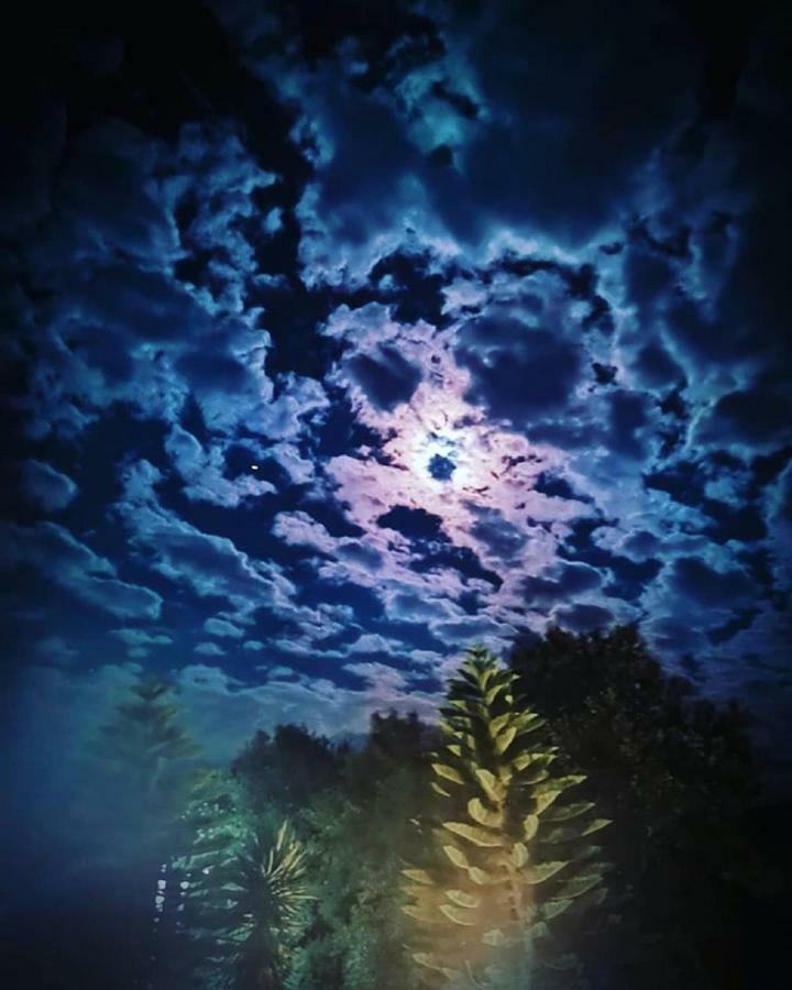 凯特利奥斯梦幻海滩公寓 外观 照片